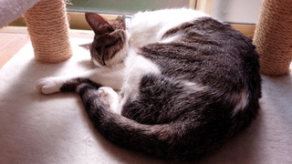 f0374160_17333148.jpg