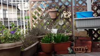 f0374160_17334590.jpg