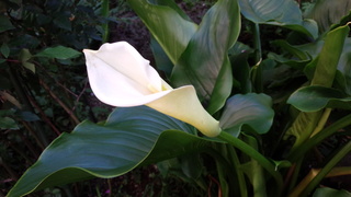 f0374160_17334819.jpg