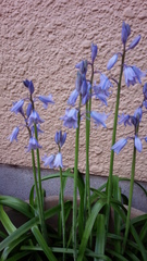 f0374160_17334869.jpg