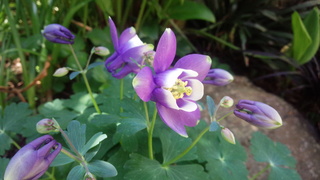 f0374160_17335113.jpg
