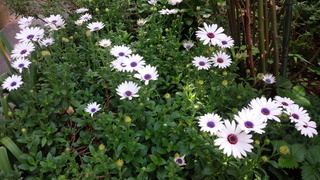 f0374160_17335414.jpg