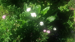 f0374160_17335474.jpg