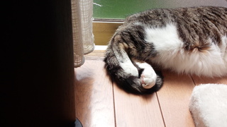 f0374160_17340013.jpg