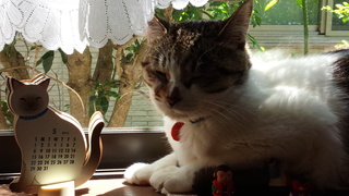f0374160_17340131.jpg