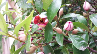 f0374160_17340228.jpg