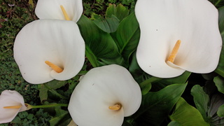 f0374160_17340969.jpg