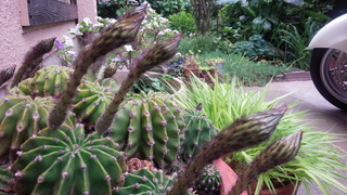 f0374160_17341312.jpg
