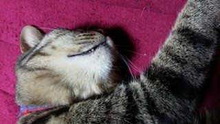 f0374160_17342015.jpg