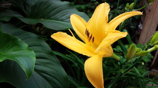 f0374160_17342507.jpg