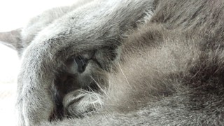 f0374160_17344464.jpg
