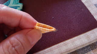 f0374160_17350671.jpg