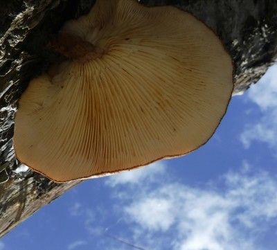 b0304662_00193746.jpg