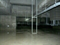 e0001663_22375405.jpg