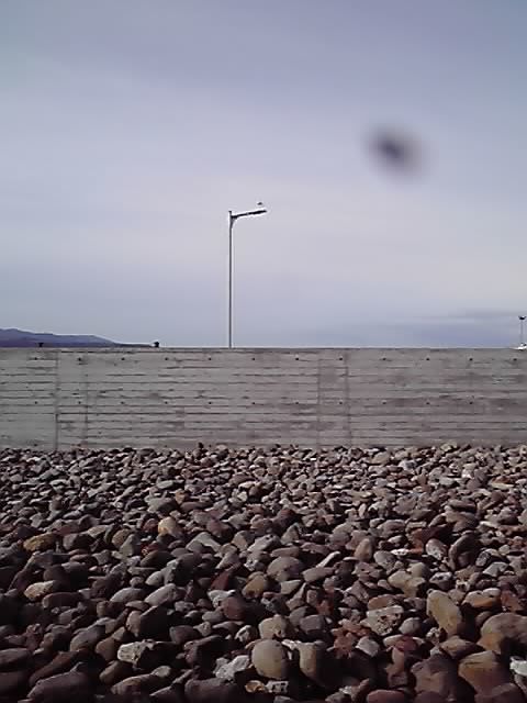 e0179266_23142015.jpg