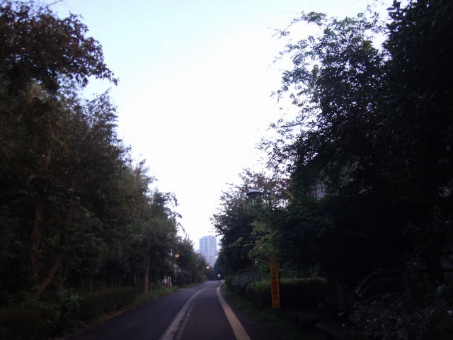 a0113874_6344421.jpg
