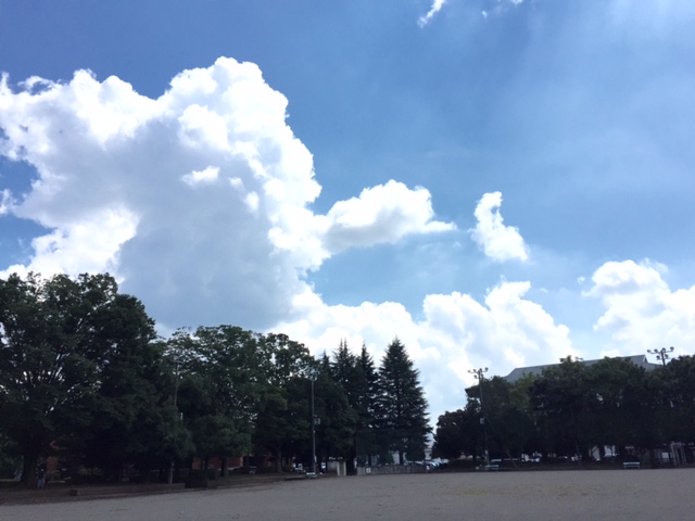 b0187479_21325496.jpg