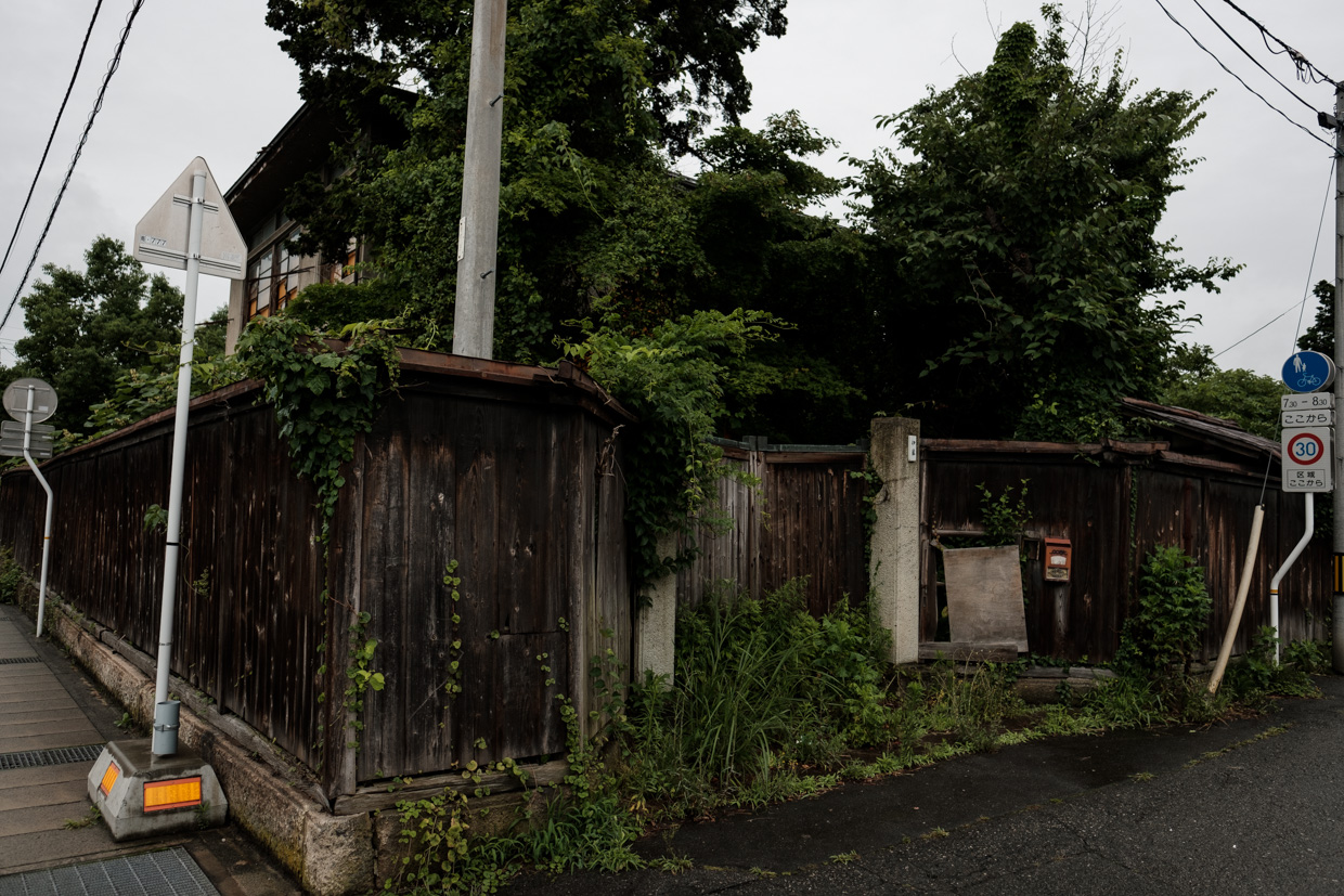 b0001380_0322388.jpg