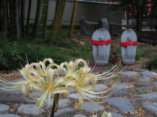 f0357183_22012038.jpg