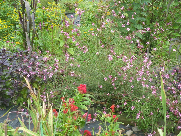 c0096287_18242954.jpg