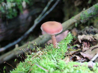 e0271890_17510979.jpg