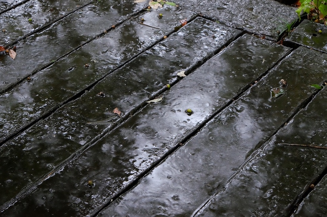 d0234293_21194274.jpg