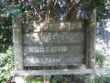 e0048994_14194101.jpg