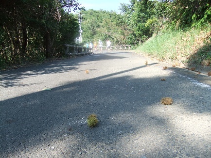 e0048994_14260956.jpg