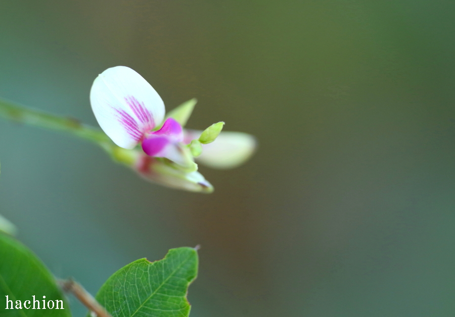 a0202502_22452174.jpg