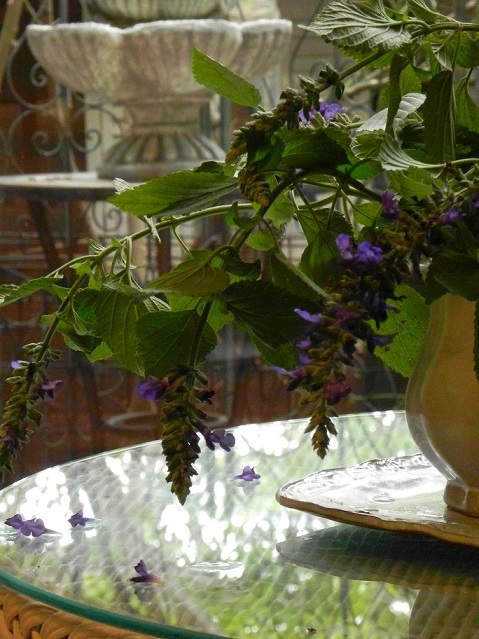 c0152002_20175428.jpg