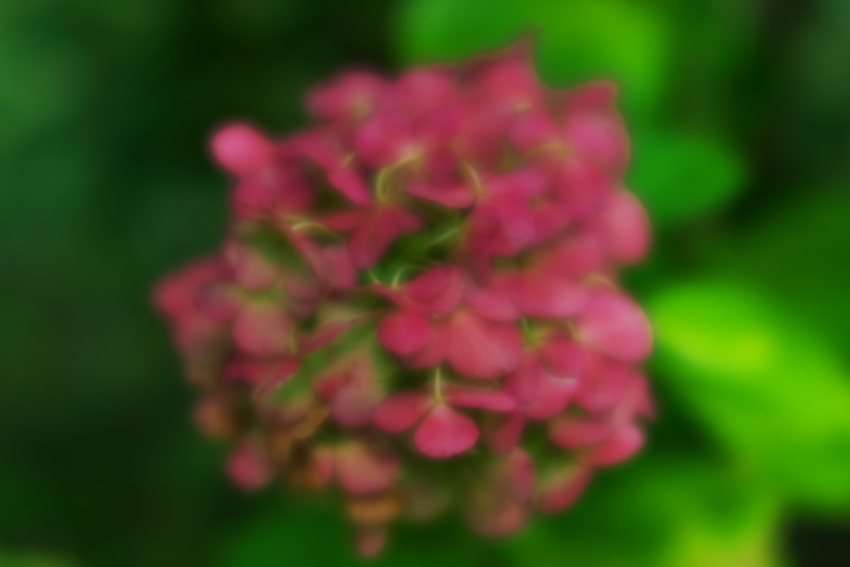 a0263109_10041986.jpg