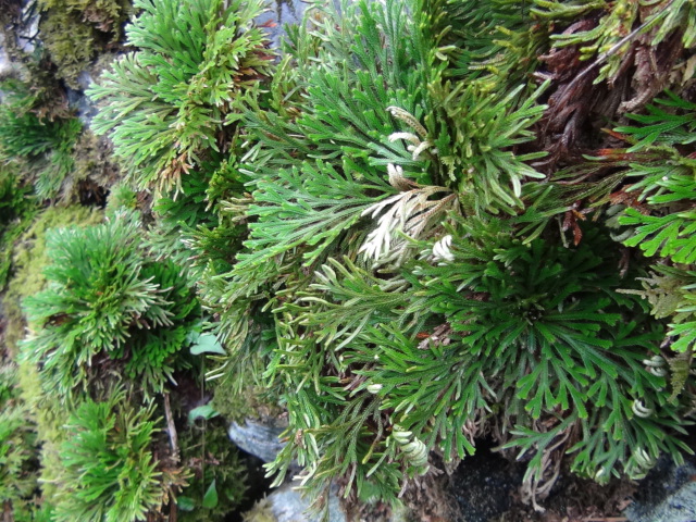 f0231709_1047024.jpg