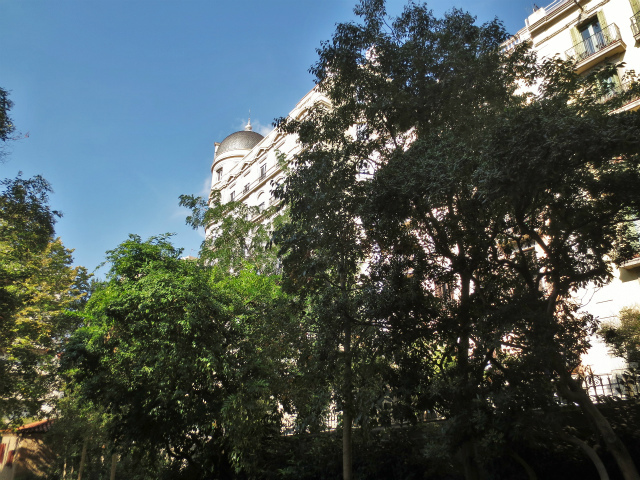 b0064411_06374658.jpg