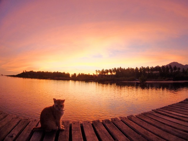 c0211615_11442792.jpg