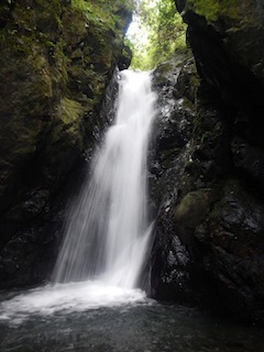 c0359615_20353102.jpg