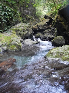 c0359615_20355535.jpg