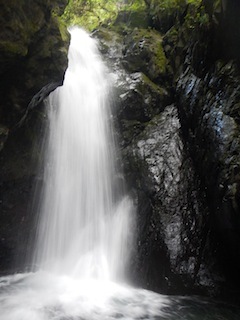 c0359615_20361336.jpg