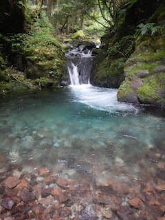 c0359615_20364103.jpg