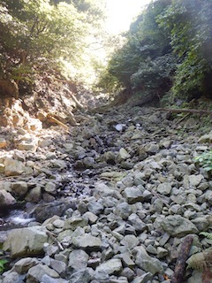 c0359615_20370046.jpg