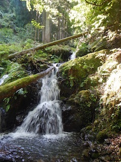 c0359615_20371447.jpg