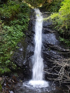 c0359615_20373286.jpg