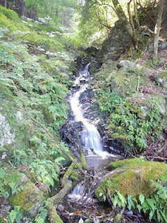 c0359615_20375137.jpg