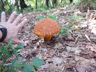 c0359615_20392195.jpg