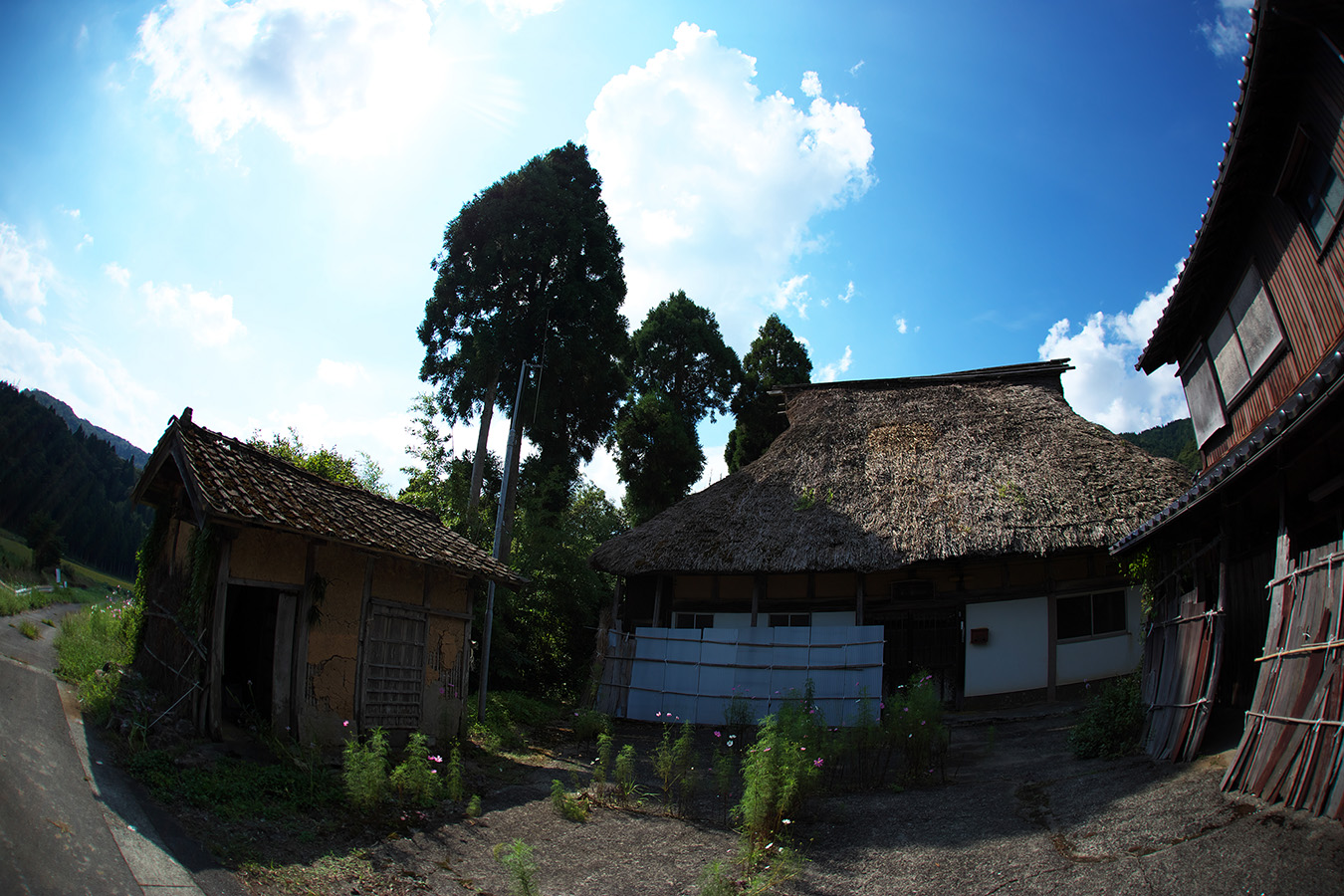 c0115616_617490.jpg