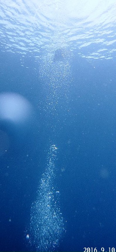 d0342920_21173494.jpg