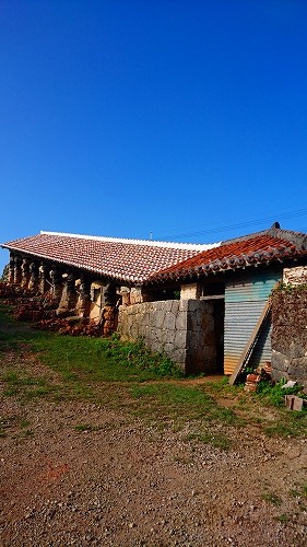 b0312126_23423599.jpg