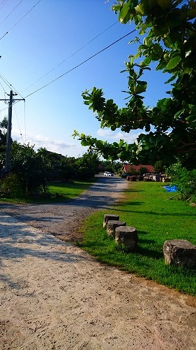 b0312126_23430961.jpg