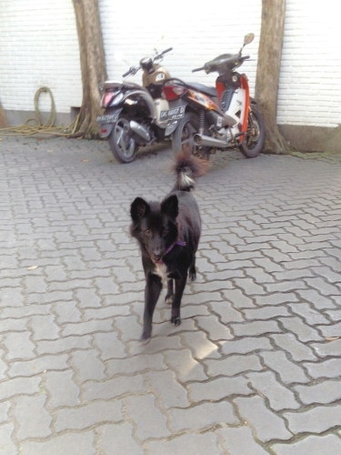 a0024829_12245095.jpg