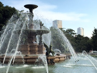 c0051529_2220387.jpg