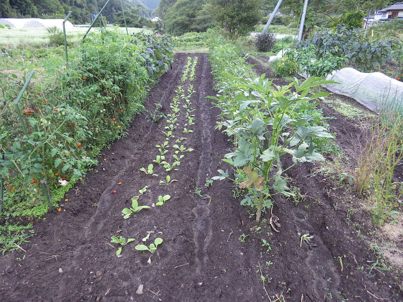 c0300035_9163258.jpg